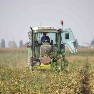 Coldiretti Vercelli-Biella in piazza a Strasburgo Coldiretti Vercelli-Biella in piazza a Strasburgo