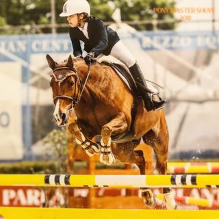 EQUITAZIONE SPECIAL OLYMPICS - Il Team Vivere protagonista a Varese