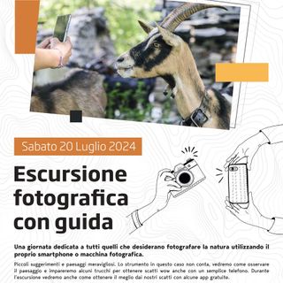 Escursione fotografica all'Alpe di Mera, fra scatti e natura.