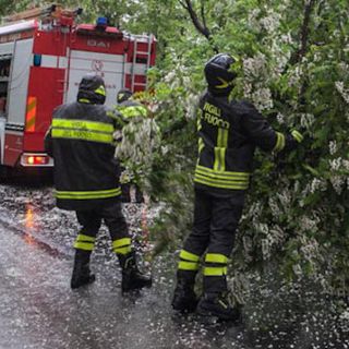 Allerta maltempo sul Biellese, alberi pericolanti rimossi dai Vigili del fuoco