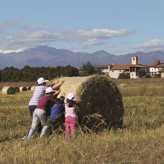 Ad Arro, ritorna la Festa del nuovo raccolto