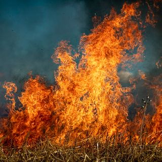 Strona: Brucia sterpaglie e il denso fumo invade l'area. Sanzionato dalla forestale - Foto repertorio
