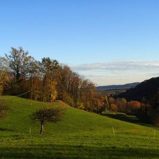 Alla scoperta del foliage tra la Riserva Naturale della Bessa, la Serra e la Valle Elvo