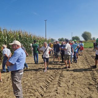 Risultati e nuovi scenari del settore maidicolo al Pignatelli Day