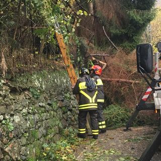 frana pianta valdilana