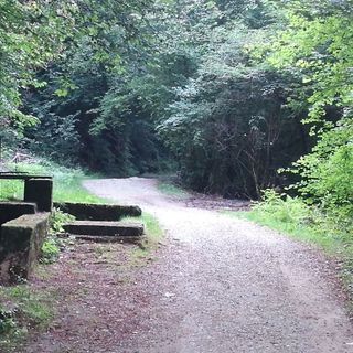 Biella, 4 aree pic-nic al Gorgomoro - Foto archivio newsbiella.it