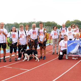 Podismo: in 602 per "Il Biellese di Corsa" in favore dell'Aism FOTOGALLERY