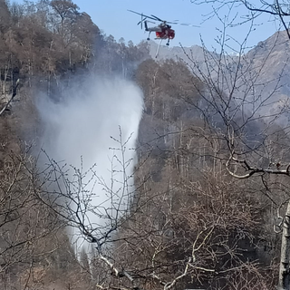 valle cervo incendio