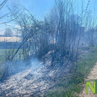Incendio sottobosco a Mongrando