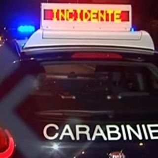 Spunta sulla strada un capriolo, incidente a Ponderano (foto di repertorio)