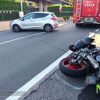 pollone auto moto