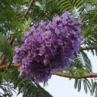 Pinte e solidarietà: un connubio che si va sempre più diffondendo in Italia