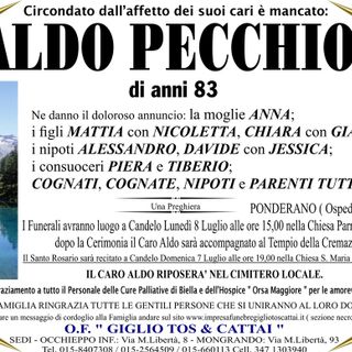 Aldo Pecchio