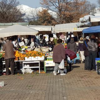Biella: entro la primavera il riordino del mercato di piazza Falcone