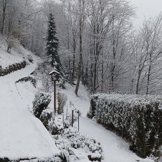 La neve è arrivata anche a Sordevolo, foto Alessandra Ghirardelli
