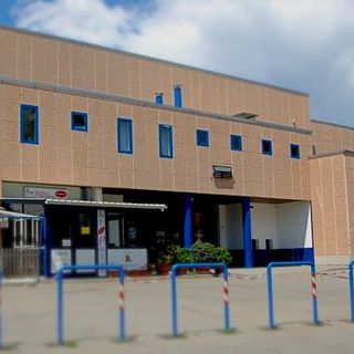 Evento - Da domani al PalaBonprix i saggi della società Ginnastica Lamarmora