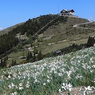 Cossato, terminata la posa di condotta forzata sulla Panoramica Zegna - Foto archivio newsbiella.it