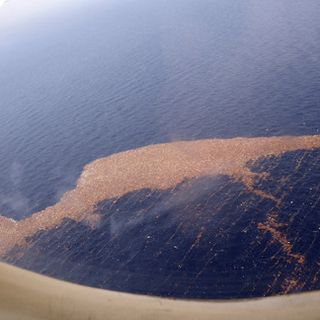 Photo by US Navy of the Great Pacific Garbage Patch Photo by US Navy of the Great Pacific Garbage Patch