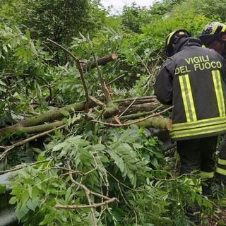 Maltempo, oltre 35 interventi dal pomeriggio di ieri: Cossatese e Biellese orientale le zone più colpite (foto di repertorio)