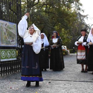 Orti della Malpenga: Suoni, colori, profumi e sapori di Sardegna a Vigliano Biellese