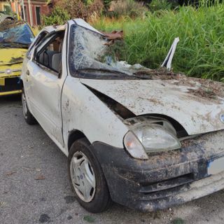 A Chiavazza si contano i danni: proseguono i lavori di rimozione degli alberi.