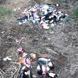 rifiuti viverone rifiuti viverone