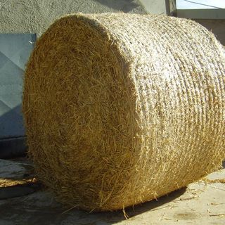 Salussola, rubata una rotoballa di fieno