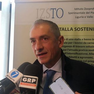 vaccini piacenza vaccini piacenza