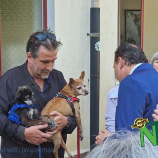 Punto Animal Friendly: A Biella l'assistente sociale in aiuto dei padroni di animali che necessitano di cure