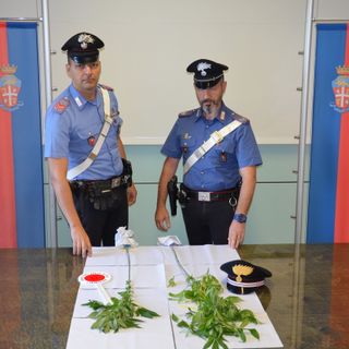 17enne produceva e deteneva sostanze stupefacenti, denunciato dai Carabinieri