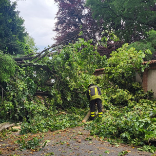 Tromba d'aria in Valle Elvo, si contano i danni
