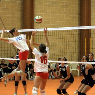 Volley: venerdì il raduno della Sprint Virtus Biella