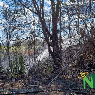 Ancora sterpaglie a fuoco nei pressi dell'ospedale di Biella, al lavoro Vigili del Fuoco e AIB