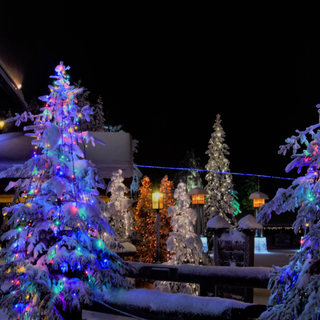 alberi natale