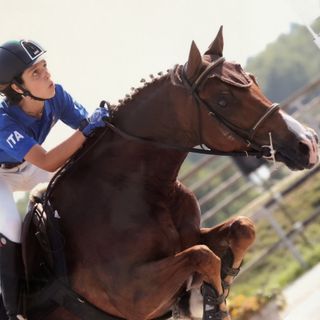 Equitazione: 3° posto per il Team Italia ai Campionati Mondiali, tra loro anche un giovane biellese