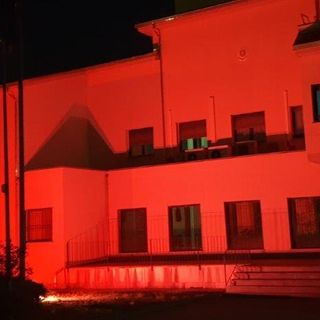 carabinieri giornata