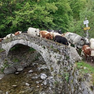 transumando valsessera