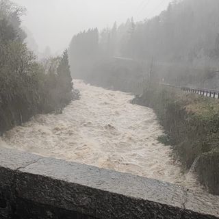 Maltempo, le immagini del Cervo in piena e una cascata d'acqua in via Cernaia VIDEO Maltempo, le immagini del Cervo in piena e una cascata d'acqua in via Cernaia VIDEO