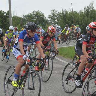 piatto trofeo squillario