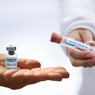 Vaccini Piemonte, ecco i dati di oggi. Al via le preadesioni per la fascia 50-54 anni Vaccini Piemonte, ecco i dati di oggi. Al via le preadesioni per la fascia 50-54 anni