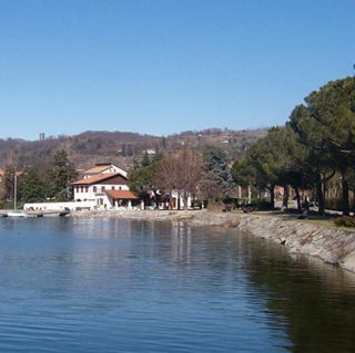 viverone autore