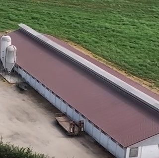 Dal Nord OvestScatta la seconda fase di contenimento della peste suina nel novarese Dal Nord OvestScatta la seconda fase di contenimento della peste suina nel novarese