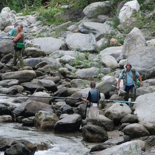 Dalla Regione 1,5 milioni di euro per la pesca e acquacoltura in Piemonte Dalla Regione 1,5 milioni di euro per la pesca e acquacoltura in Piemonte