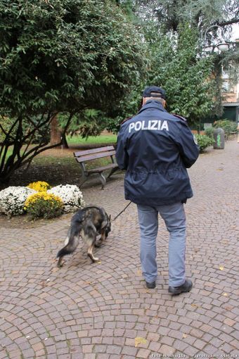 cane antidroga polizia