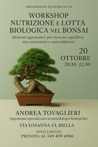 Bonsai, nutrizione e difesa biologica: a Biella il workshop con l’agronomo Andrea Tovaglieri