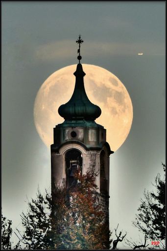 luna biella luna biella