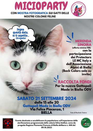 Una merenda snoira per aiutare i micetti di Gattopoli Made in Biella ODV Una merenda snoira per aiutare i micetti di Gattopoli Made in Biella ODV