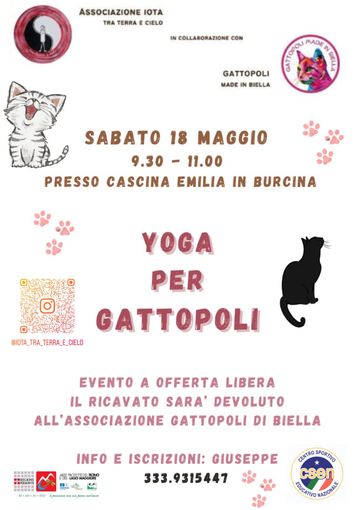 Yoga per Gattopoli: in Burcina l’evento benefico a sostegno degli animali.
