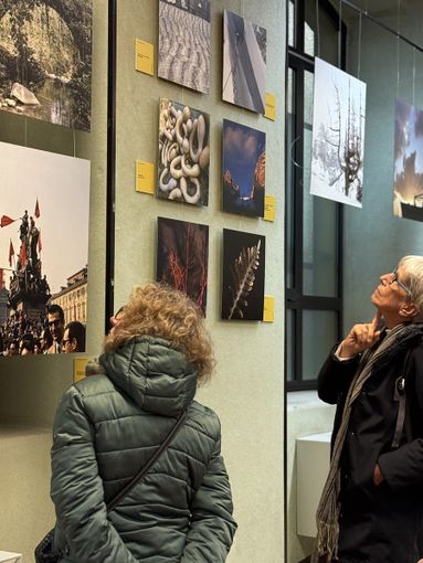 mostra biella mostra biella