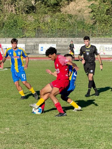 Biellese calcio: i risultati della Serie D, Girone A Biellese calcio: i risultati della Serie D, Girone A
